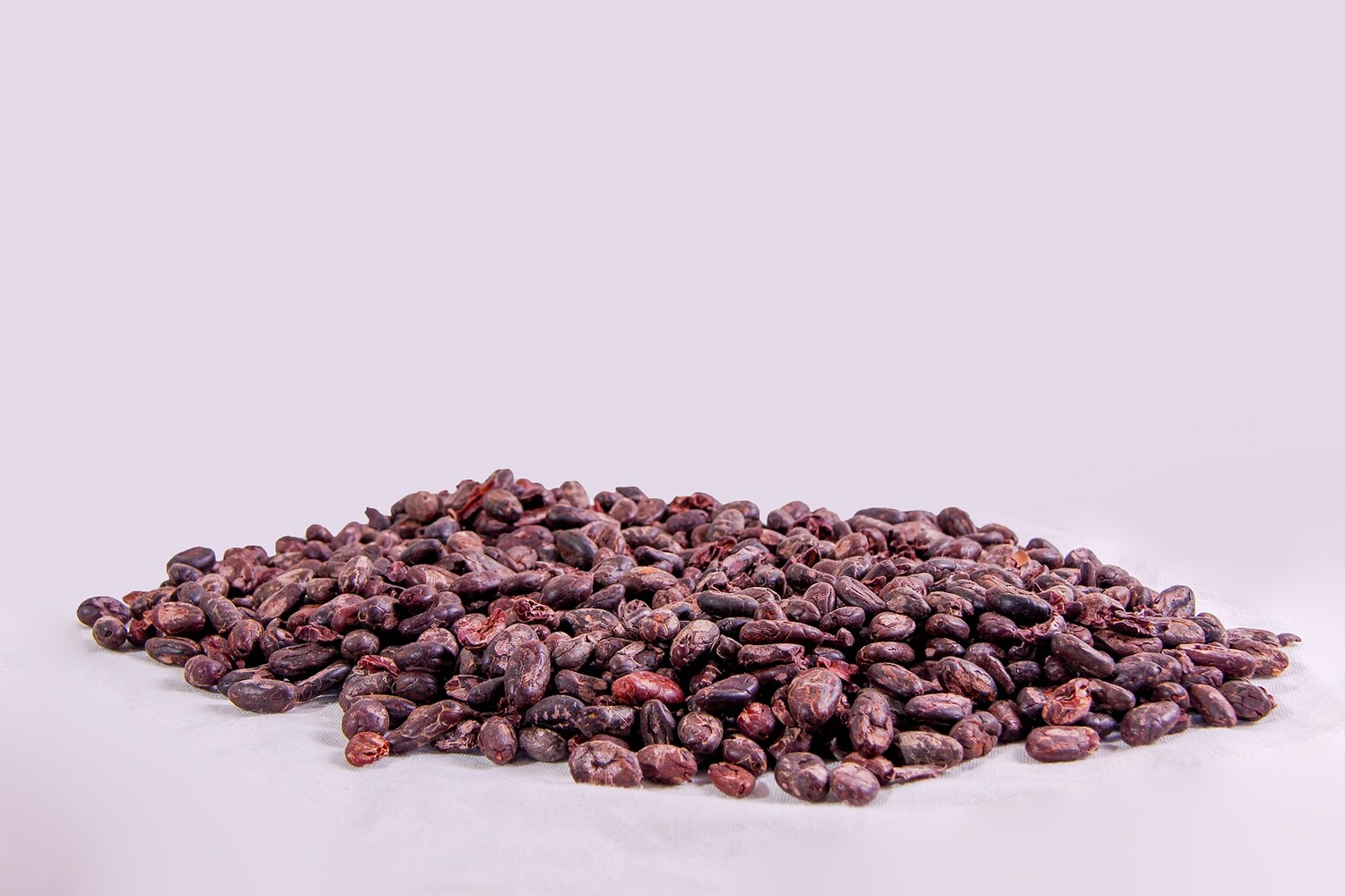Cocoa Nibs - Image 2