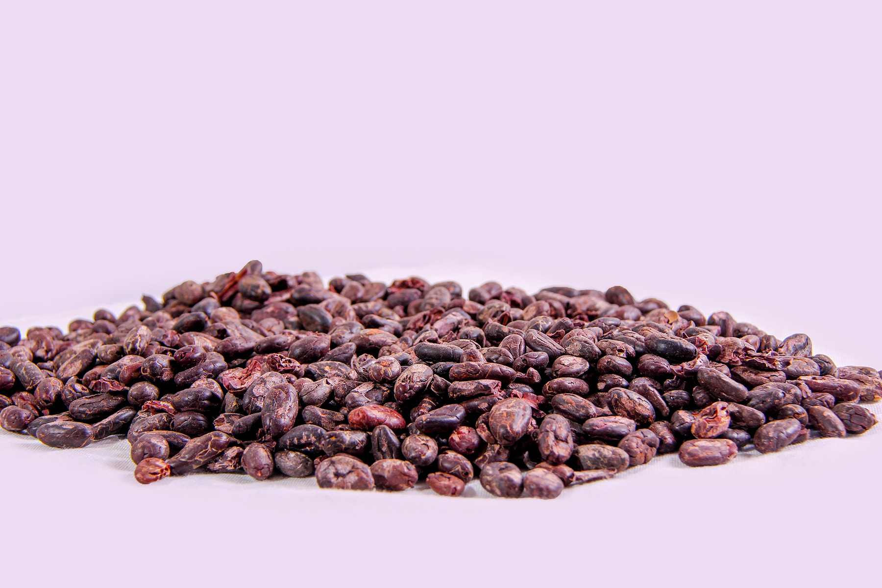 Cocoa Nibs - Image 3